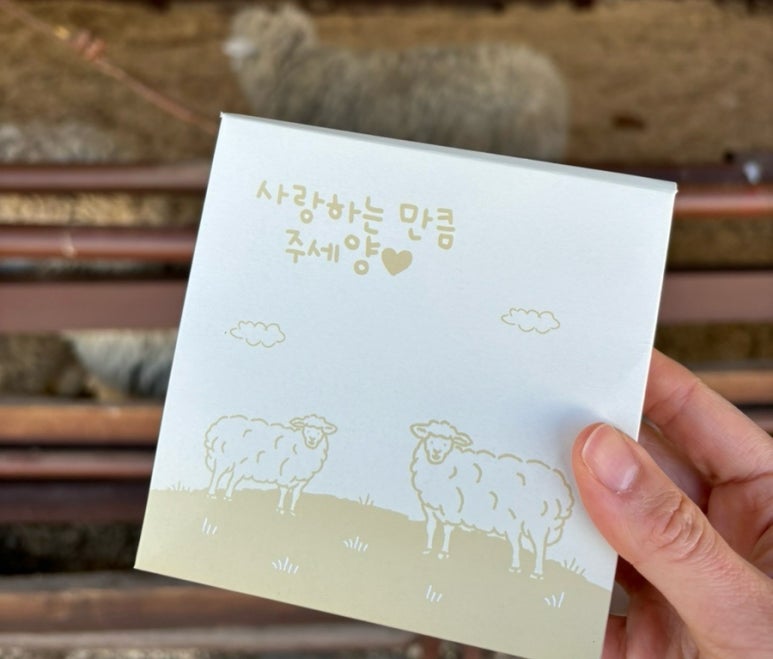 평창할인마트 이미지