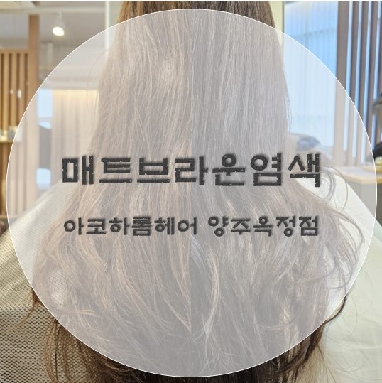 아코하롬헤어양주 이미지