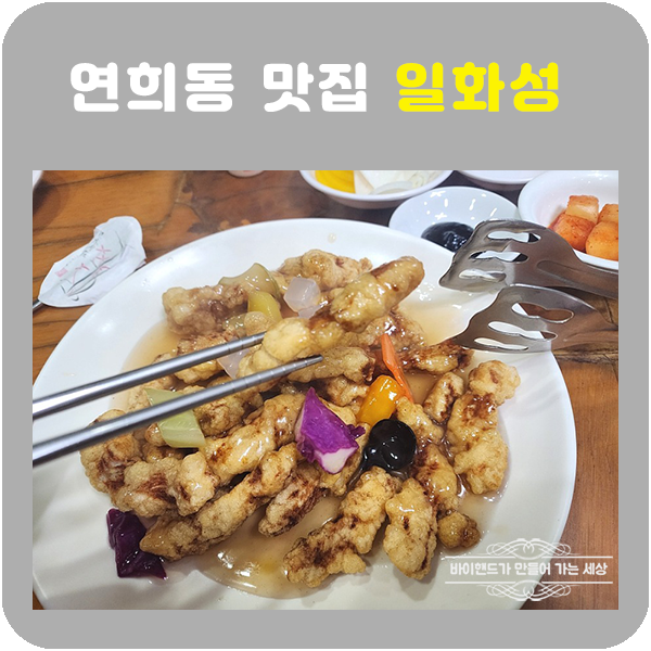 일화성 이미지