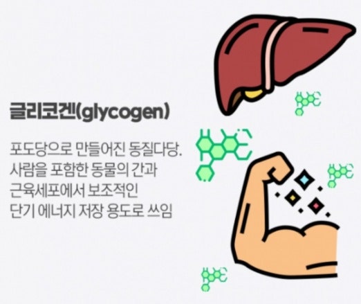 몸짱스쿨 이미지