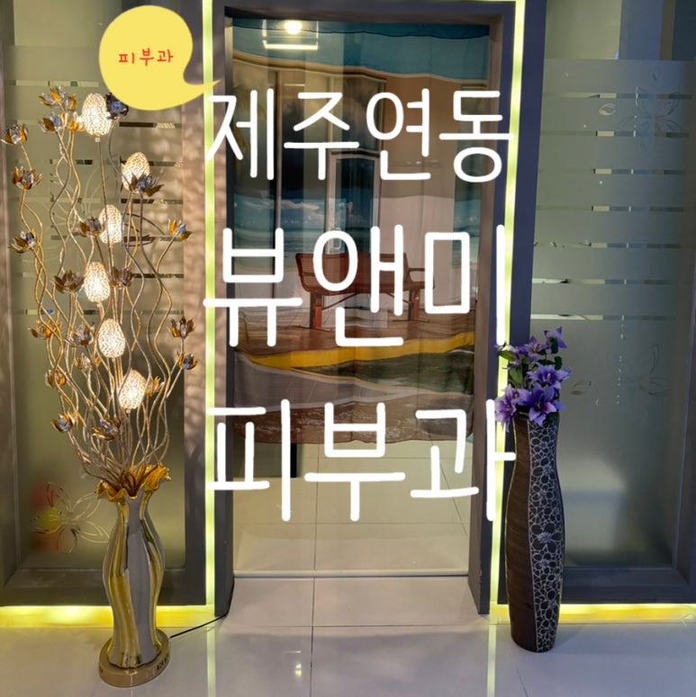 제주미의원 이미지