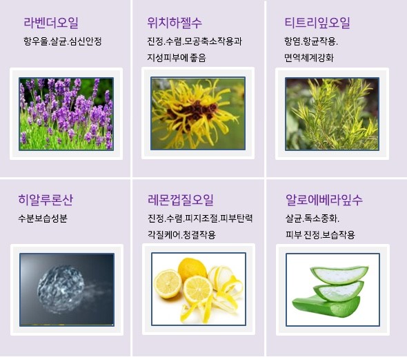줄리스 이미지