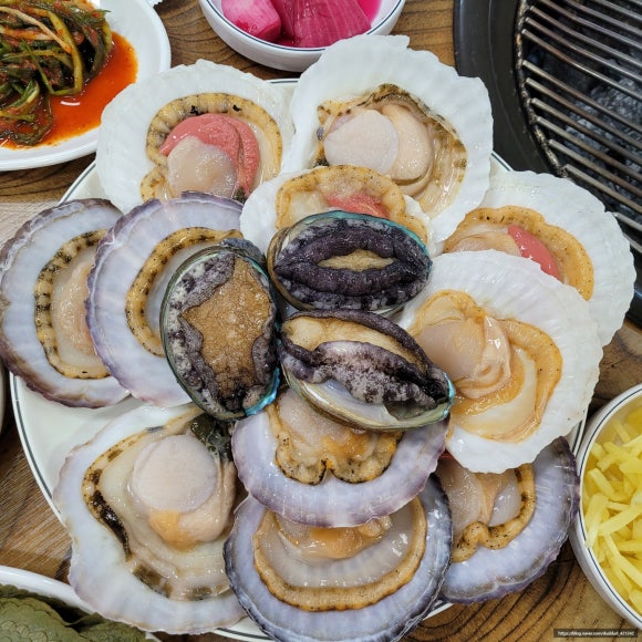 힘센민물장어 이미지