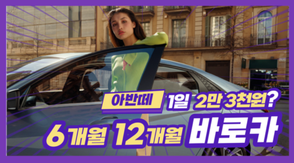 버디카 이미지