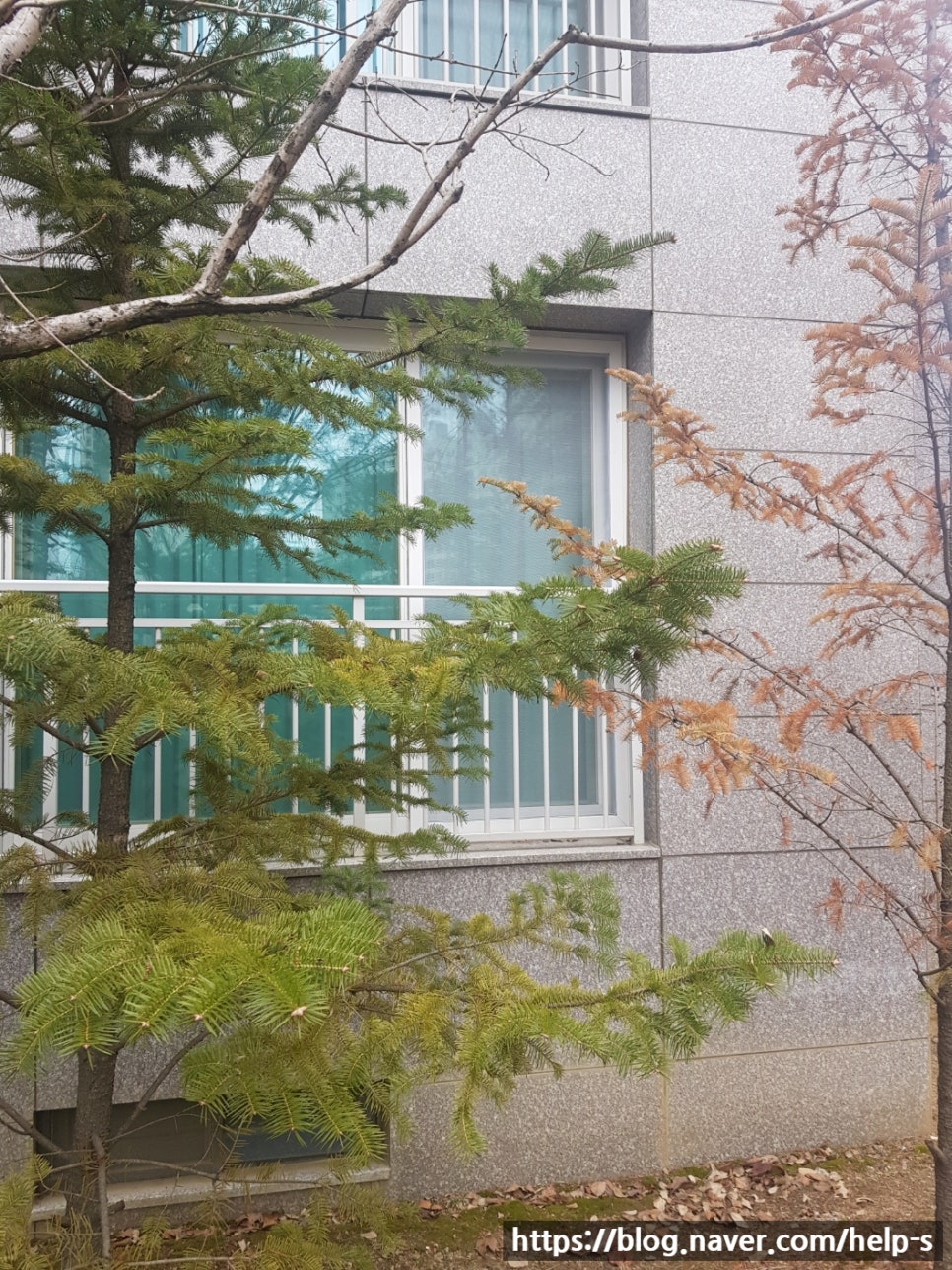 헬프맨 이미지