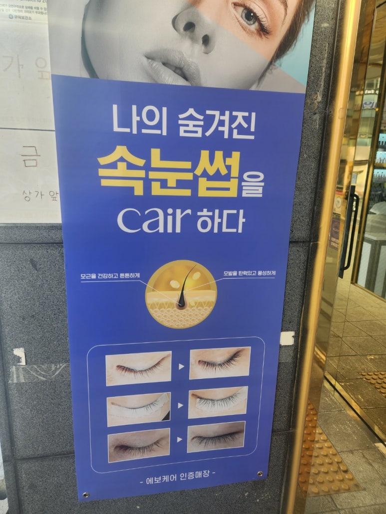 폭스네일 이미지