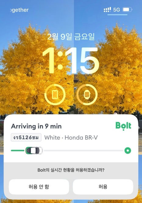 아이리스호스텔 이미지