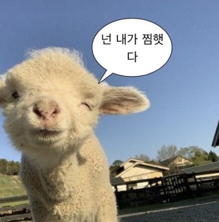 위드쿠키 이미지