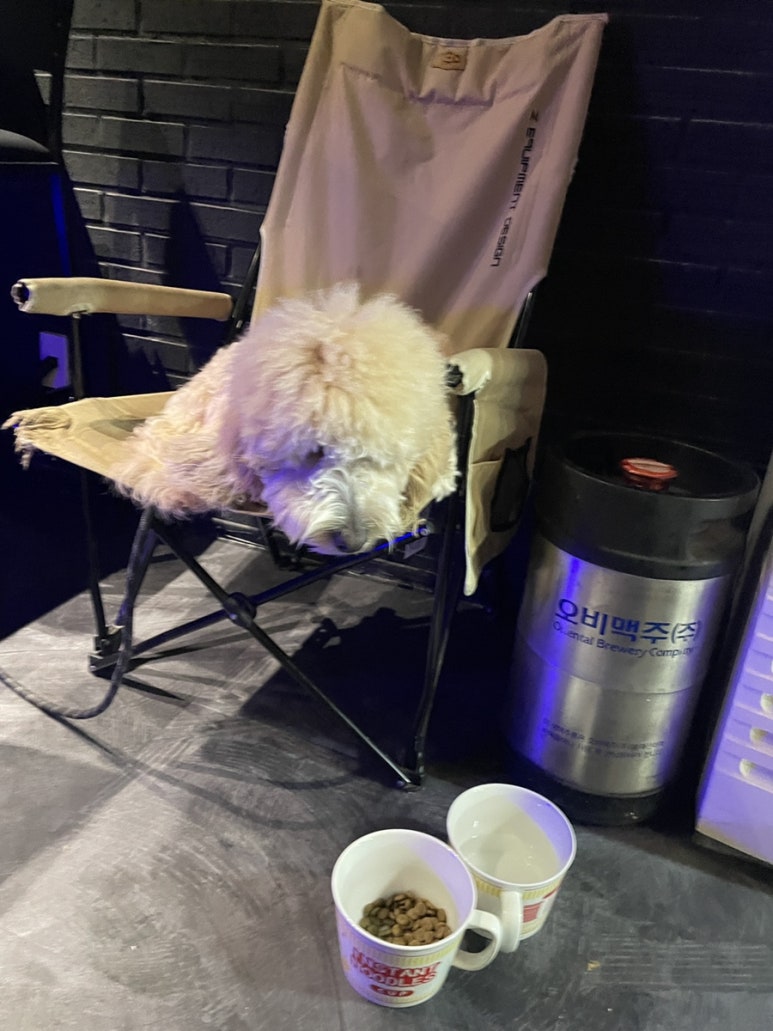 칠리마운틴 이미지