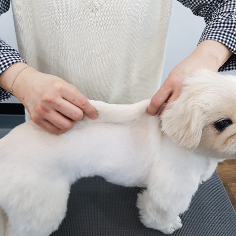 더힐테라피센터 이미지
