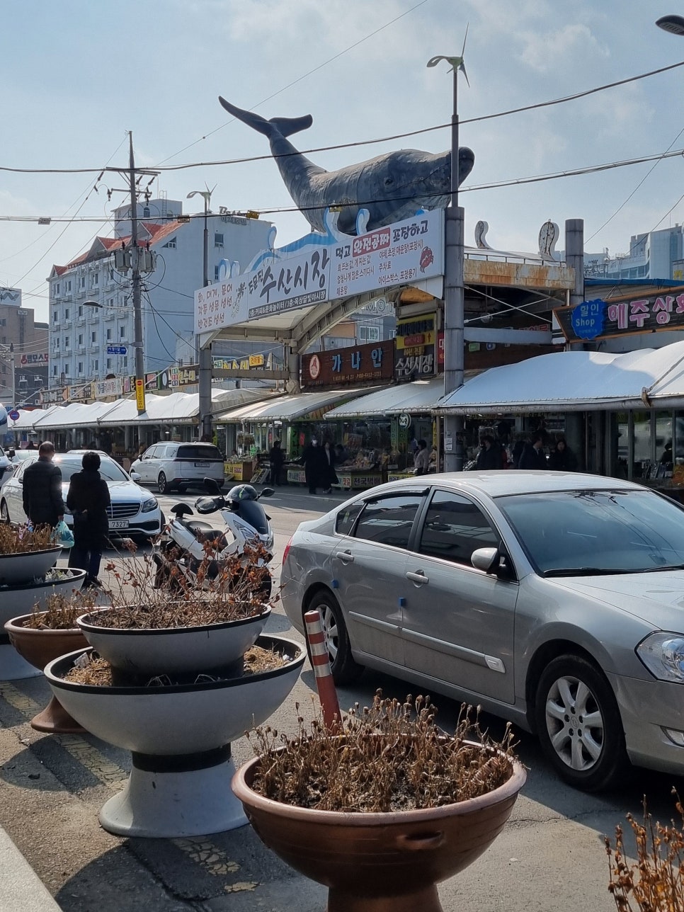 빛나수산 이미지