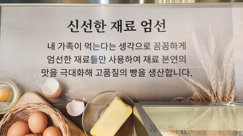 엘리지앙 이미지