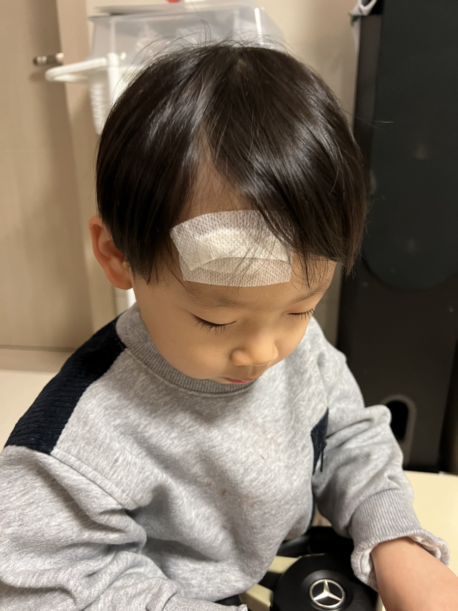 똥깡아지 이미지