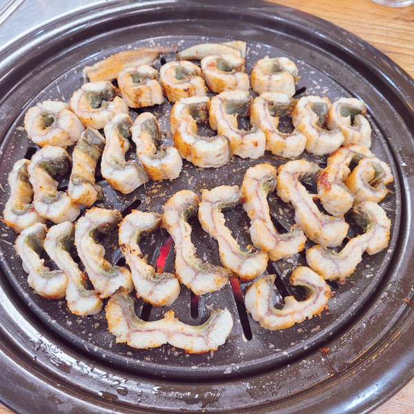 힘센민물장어 이미지