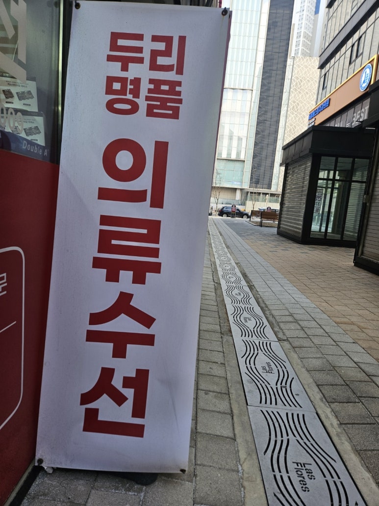 두리수선 이미지