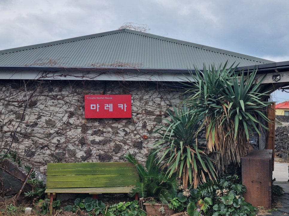 마레카 이미지