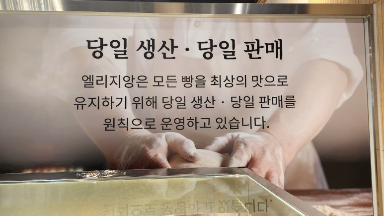 엘리지앙 이미지