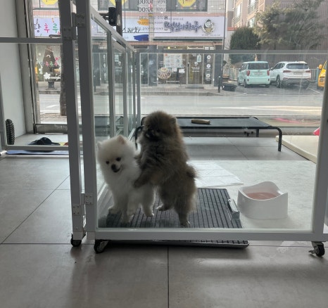 까꿍미용실 이미지