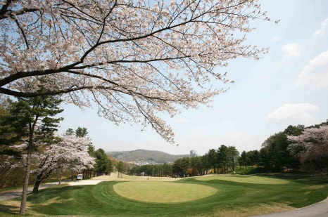 법인숲과숲사이 이미지