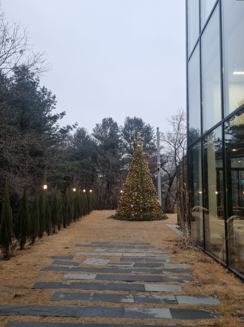레포레스트(REFOREST) 이미지
