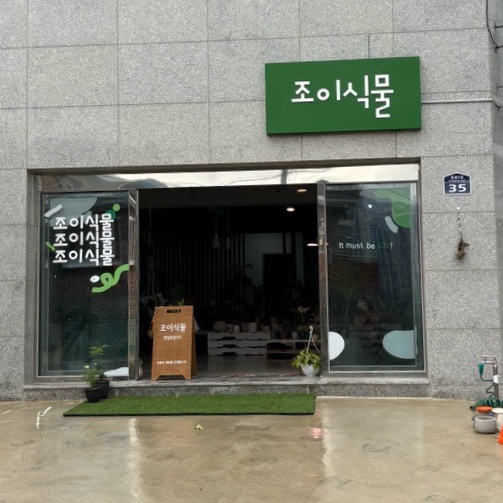 조이식물 이미지