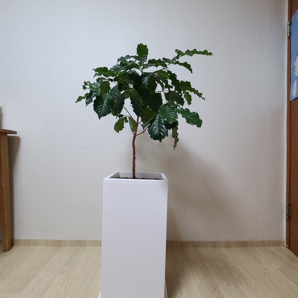 신영플라스틱 이미지