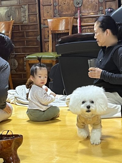 페이보릿174 이미지