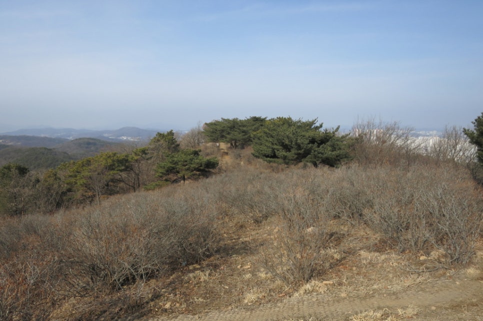 가현산 헬기장 이미지