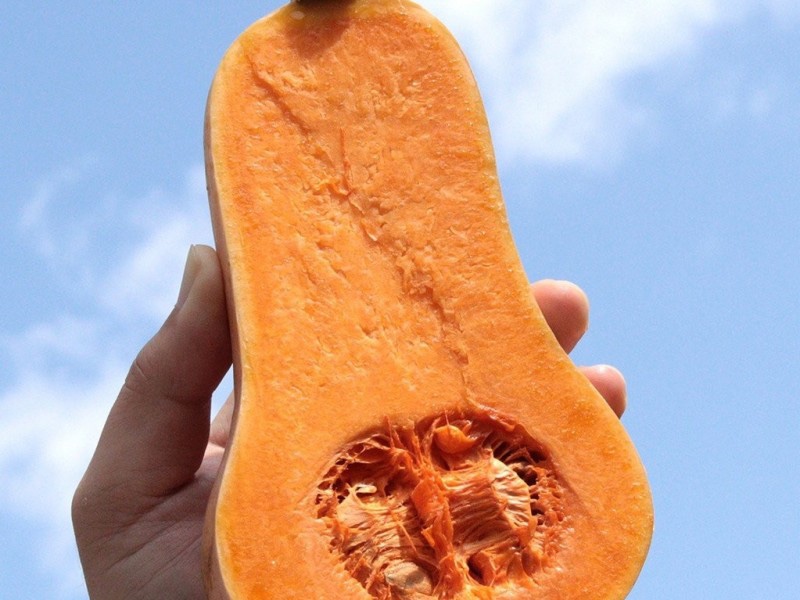 미트하우스 이미지