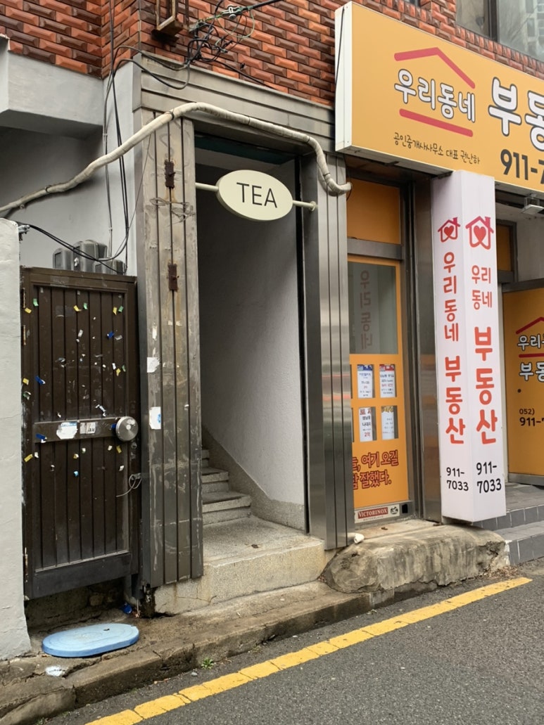 티르르 이미지