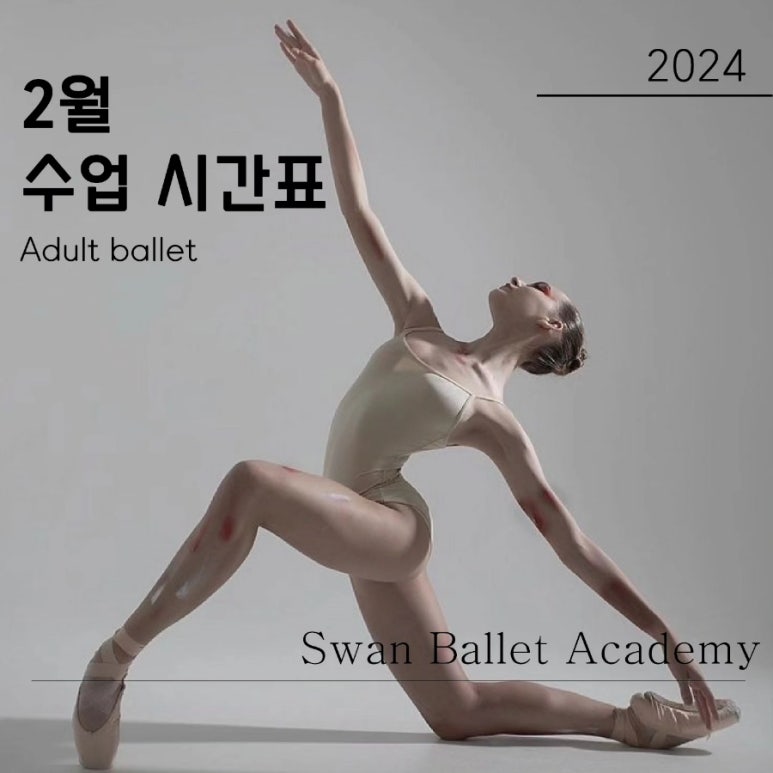 스완발레학원 이미지