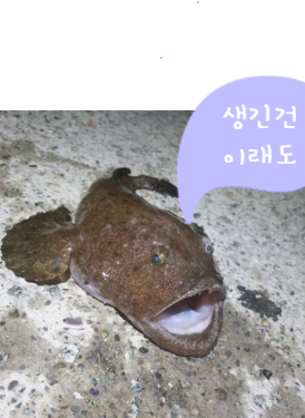 고마아구찜,뽈찜 이미지