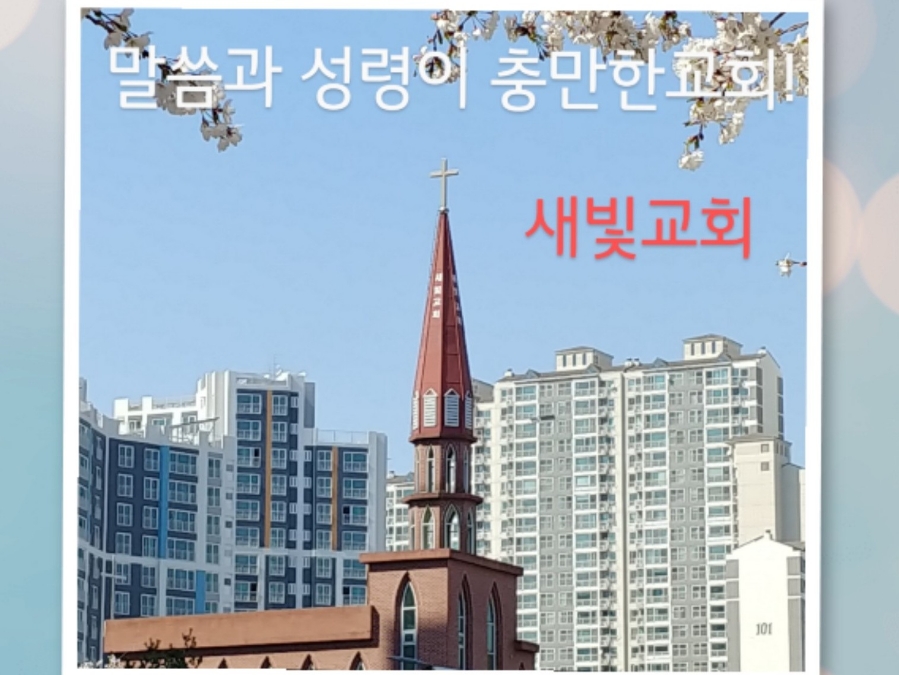 대한예수교장로회 새빛교회 이미지