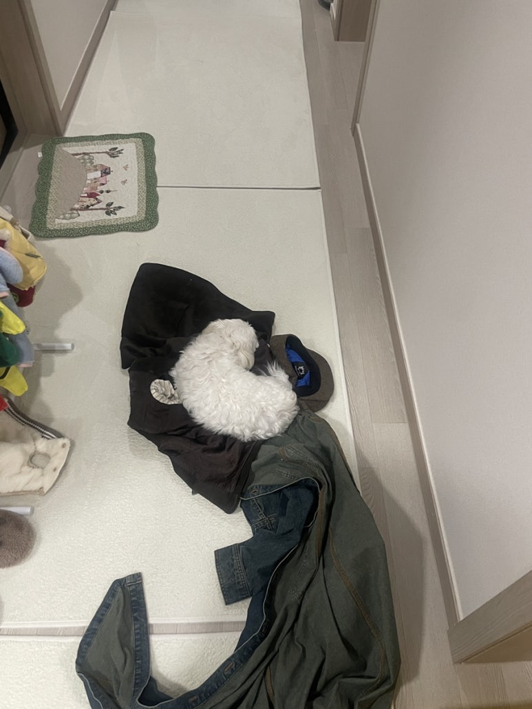 빈프라임강남 이미지
