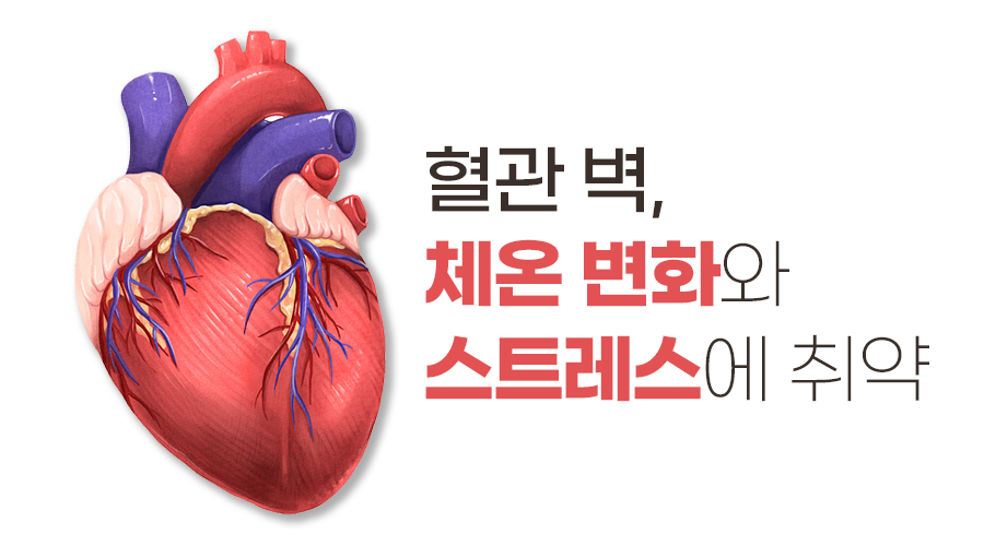 (주)앱소 이미지