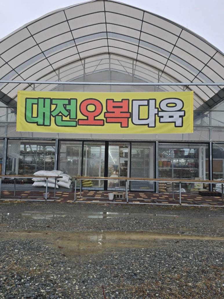 오복다육 이미지
