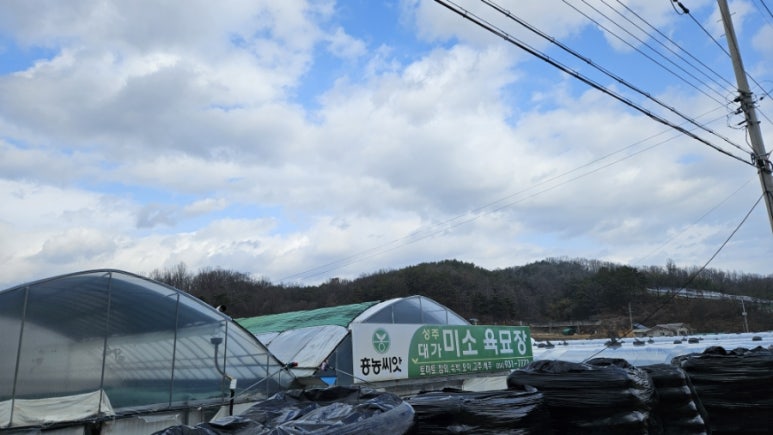 미소육묘장 이미지