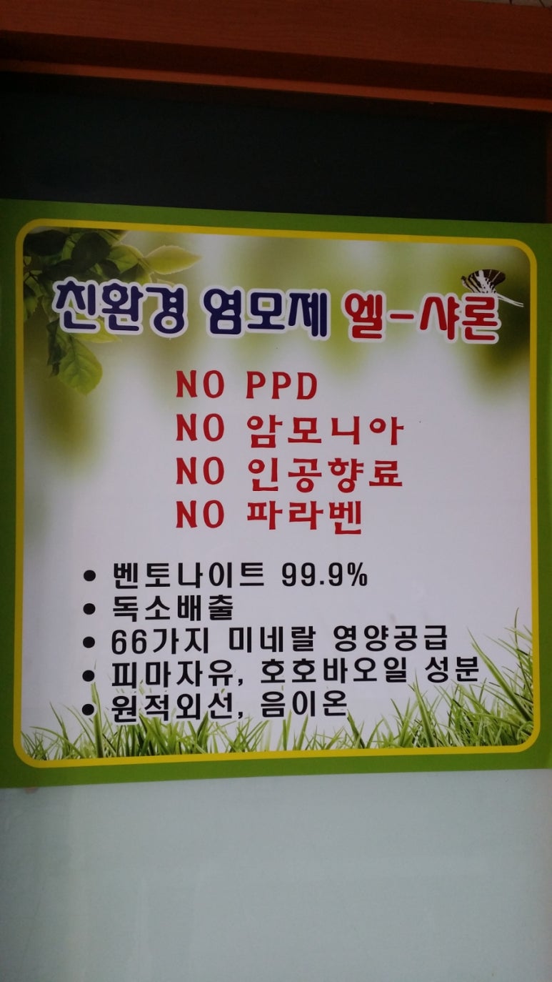 엘샤론 이미지
