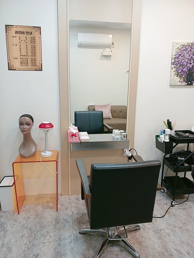 휴먼가발 이미지