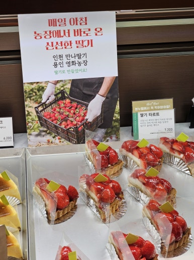 본베이커리 이미지