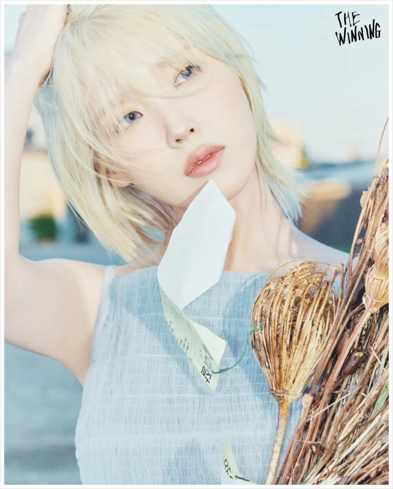 홀씨뮤직 이미지