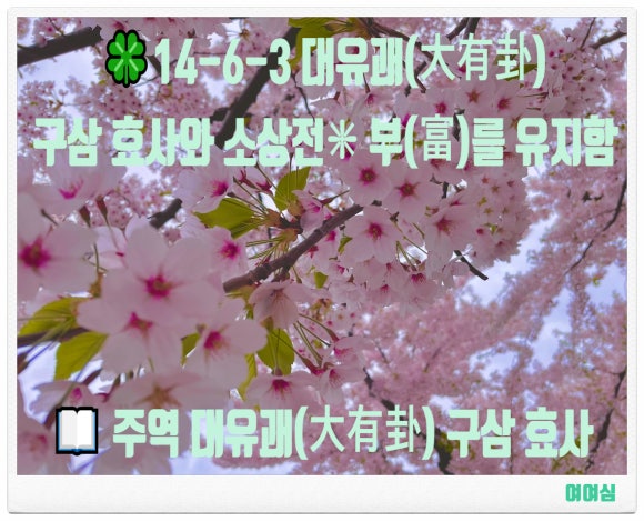 부효사 이미지