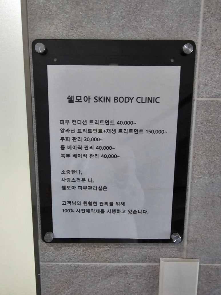 쉘모아 이미지