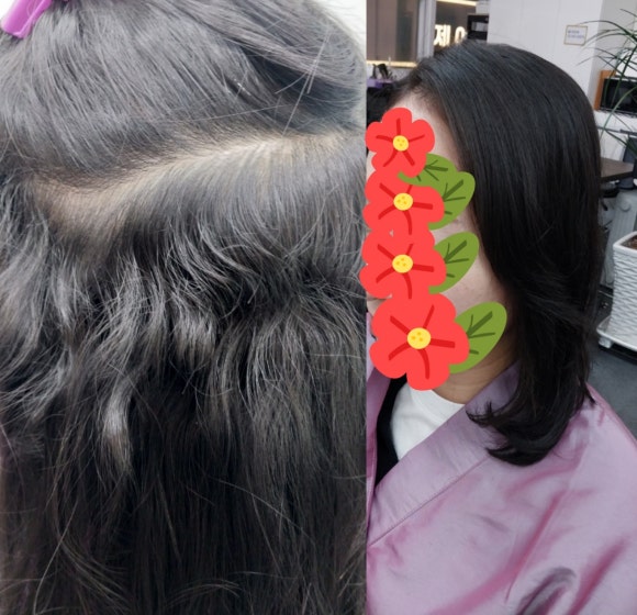 J.J헤어보고 이미지