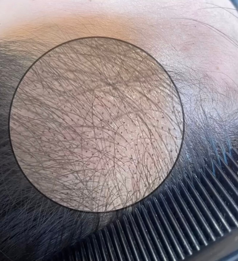 하랑스카이 이미지