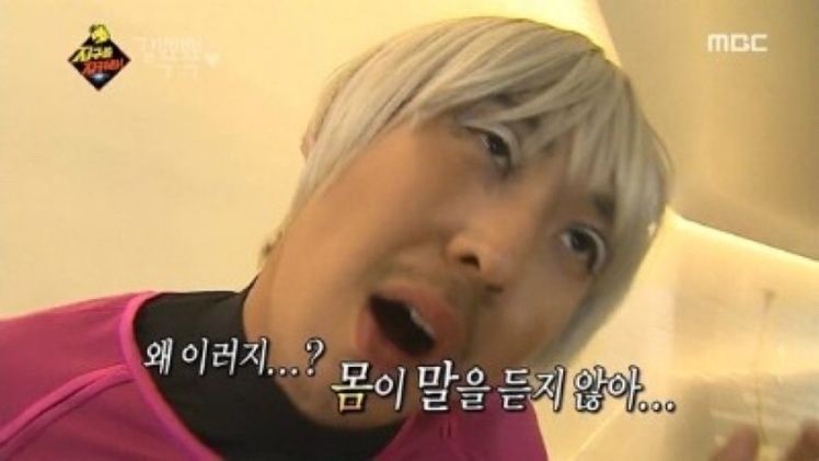유포리아플라워 이미지