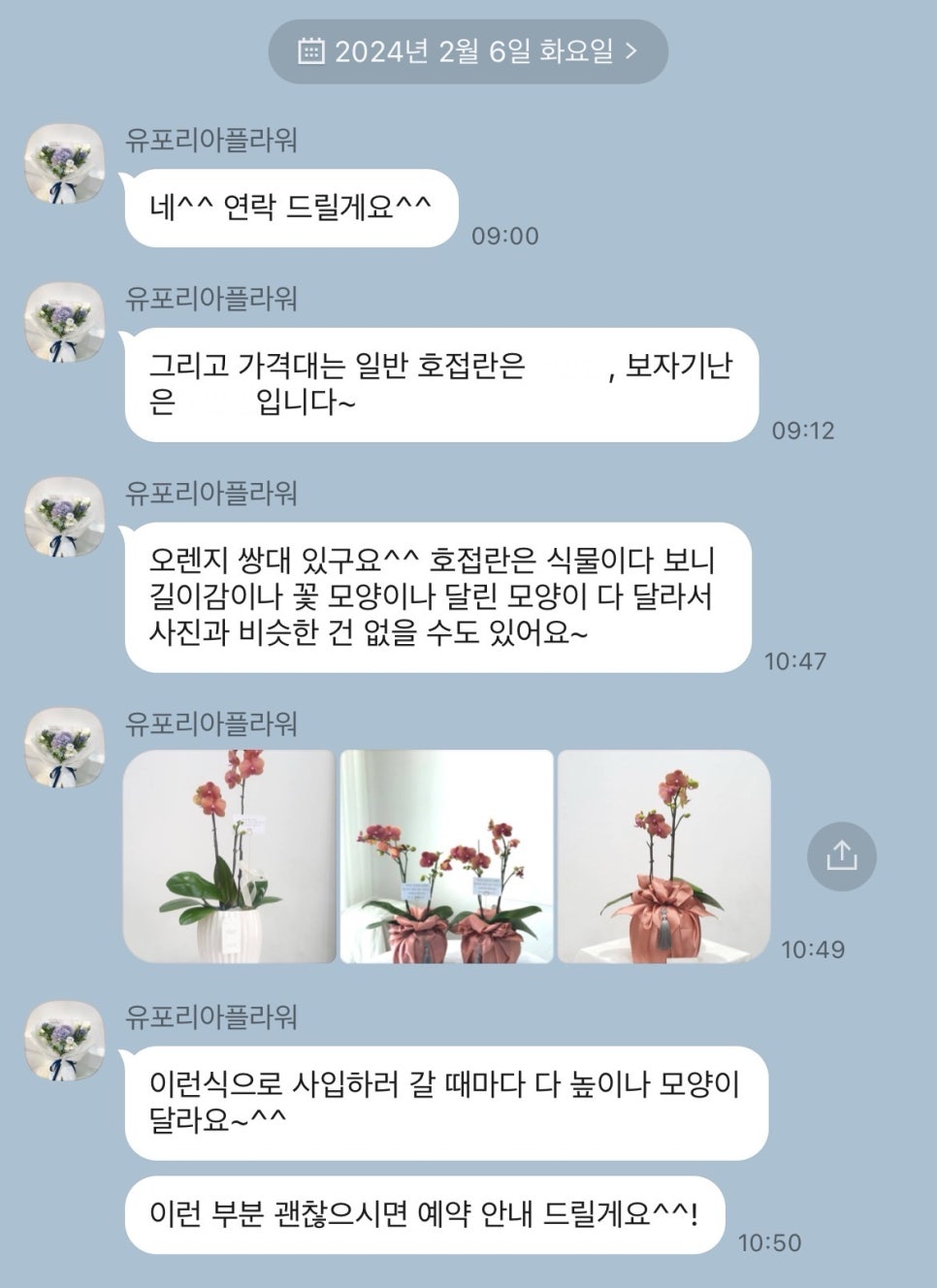 유포리아플라워 이미지