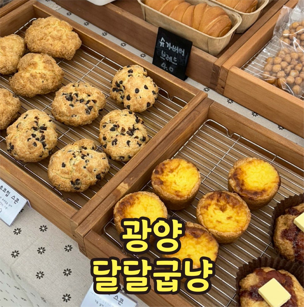 달달굽냥 이미지