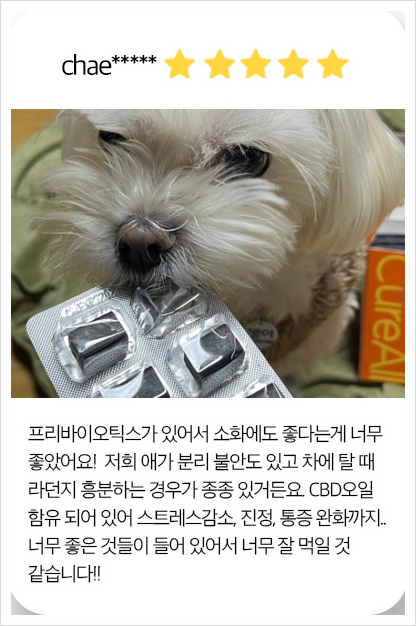 큐어랩스 이미지