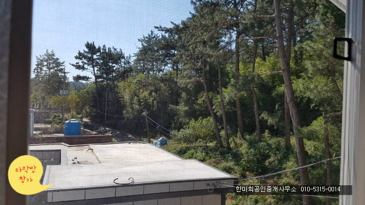 고운햇살 이미지